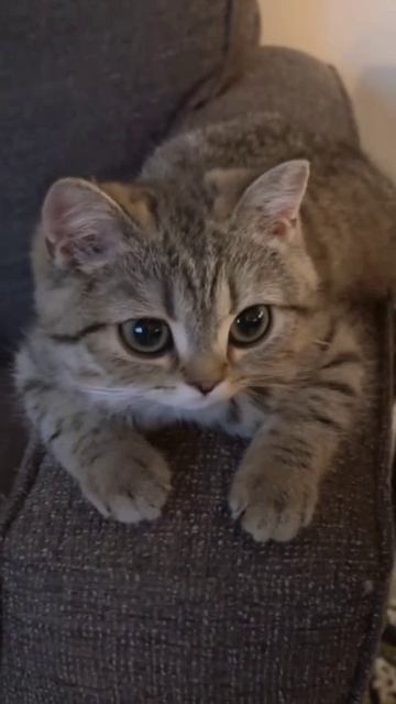 Песня: Старый Дом
Artist: Nalimii Music, Agat