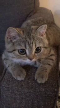 Песня: Старый Дом
Artist: Nalimii Music, Agat