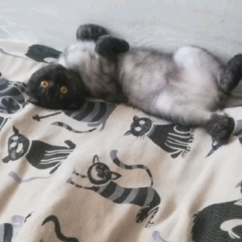 вопрос ответ❤️
