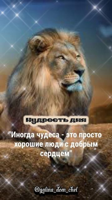 Мудрая мудрость