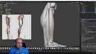 6. Muscles of the leg P02