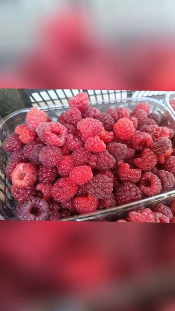 Вы можете преобрести такую ягоду в Донецке! В комментарии номер телефона!