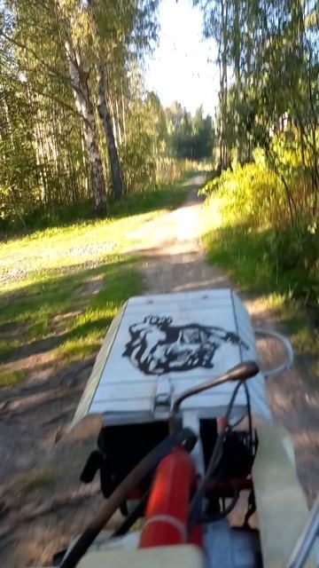 20250815_180053 Еду лесом.