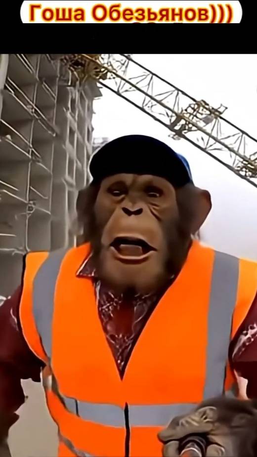 Гоша Обезъянов и новая работа