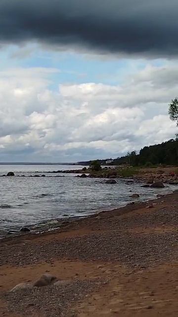 Берег финского залива от Александры 22.08.25.