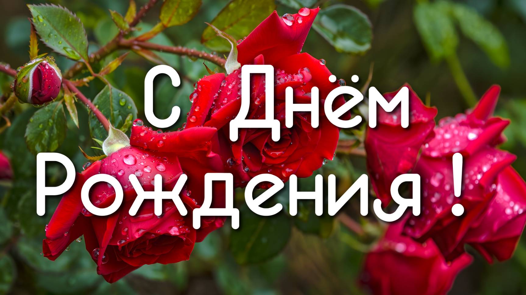 🎉 Поздравление с Днём Рождения 🎂 Красивое поздравление для любимых людей 💖