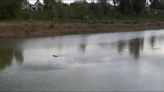 Хорошо на каникулах .