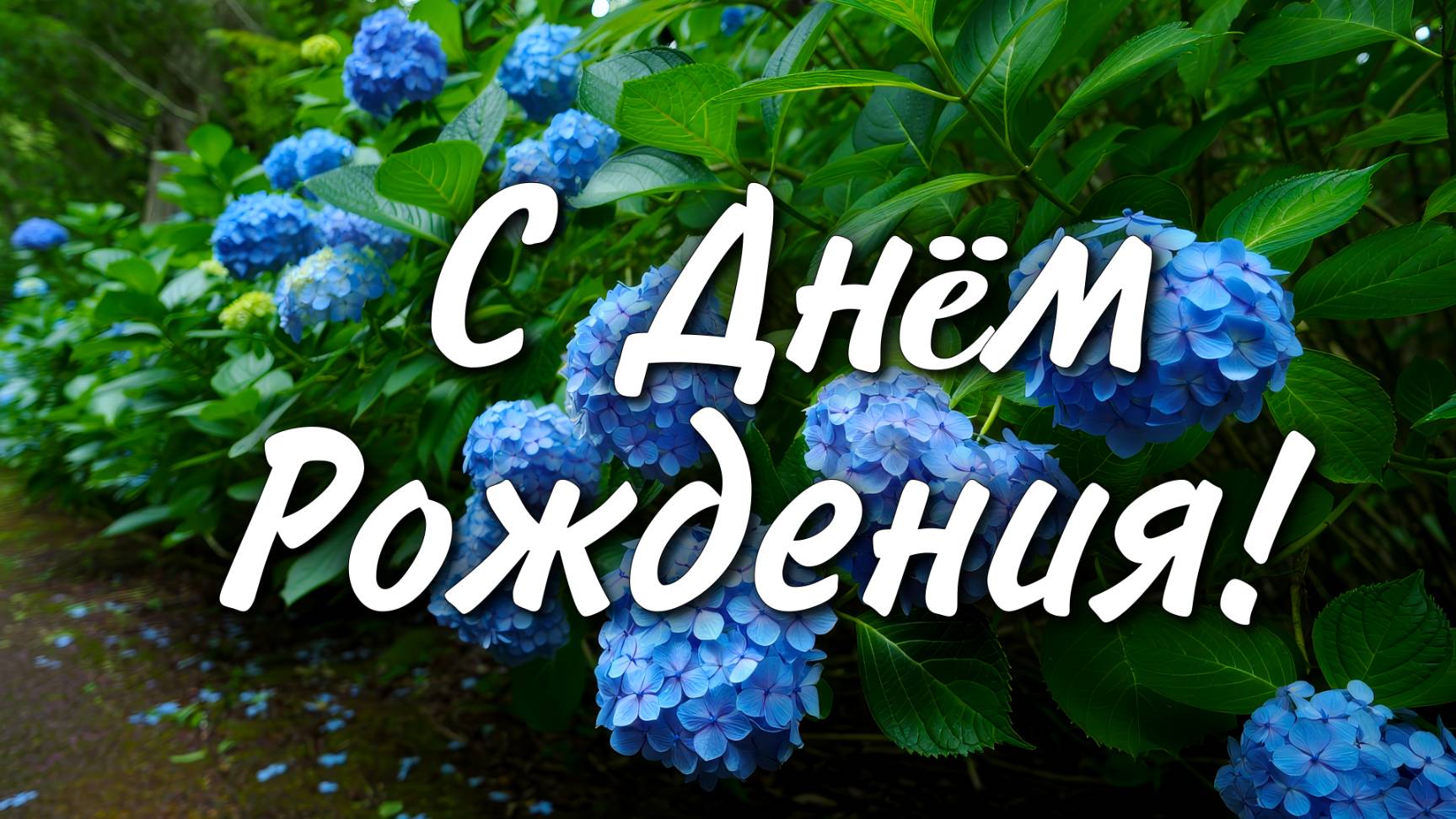 🎉 Поздравление с Днём Рождения 🎂 Красивое поздравление для любимых людей 💖