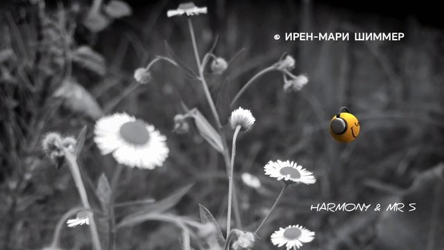 сделай свой шаг вперёд