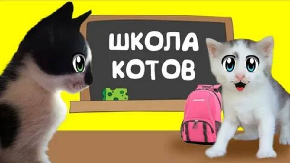 ОСЕНЬ!!! КОТ МАЛЫШ И КОШЕЧКА МУРКА ИДУТ В ШКОЛУ!!! А НУ- КА ДАВАЙ-КА!!!