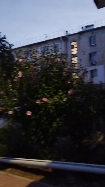 начало путёвки в Херсонес