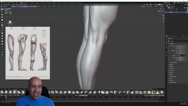 3. Overall leg shapes in 3D