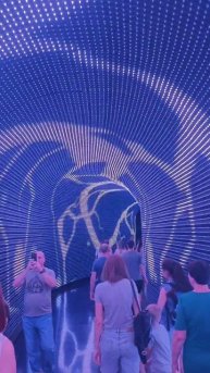 кроличья нора в парке галицкого краснодар