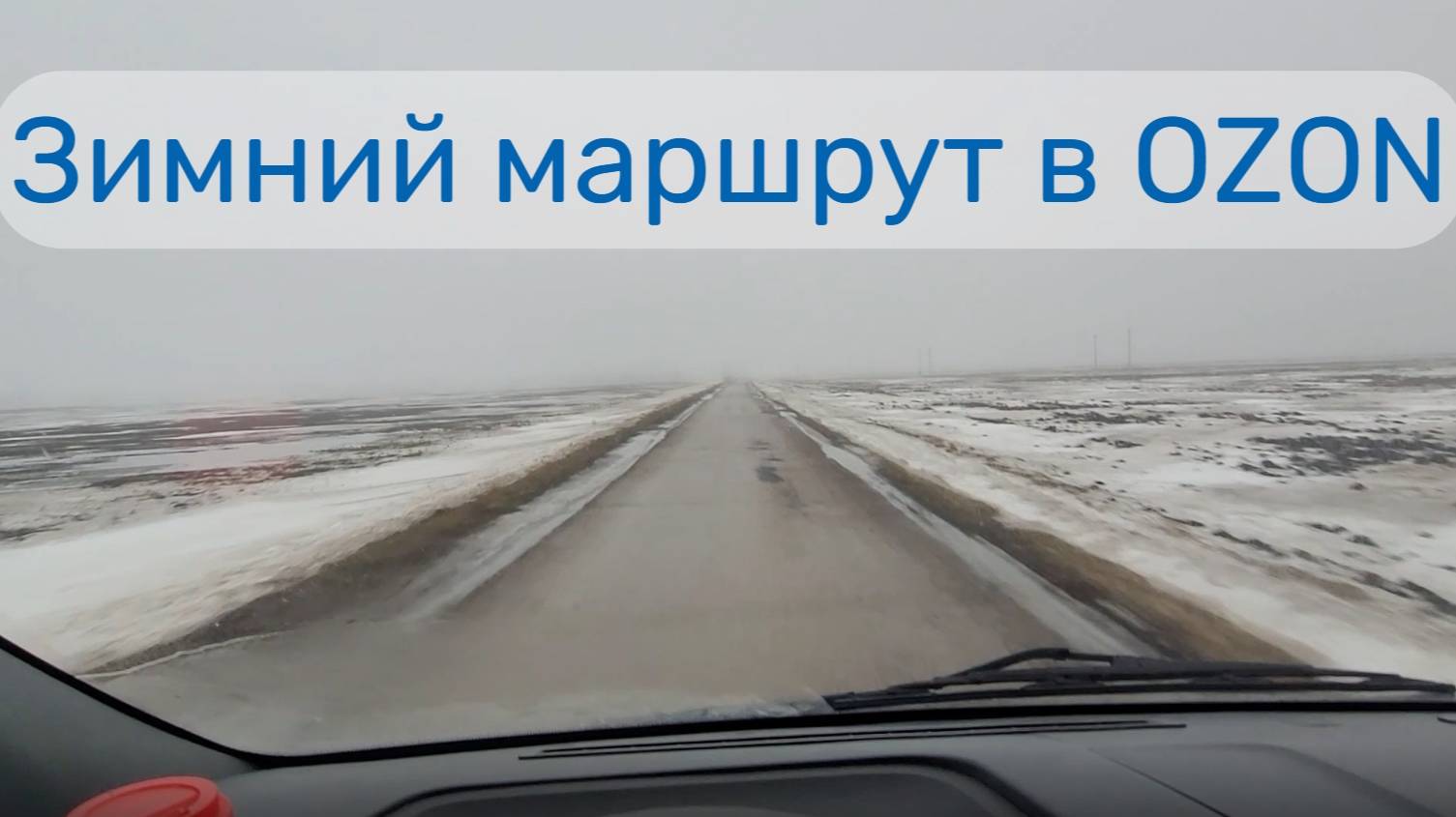 День в на Газели в OZON