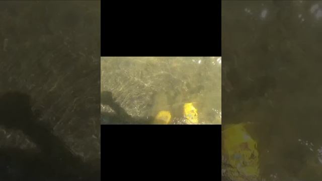 НАШ ПИКНИК С НОЧЁВКОЙ