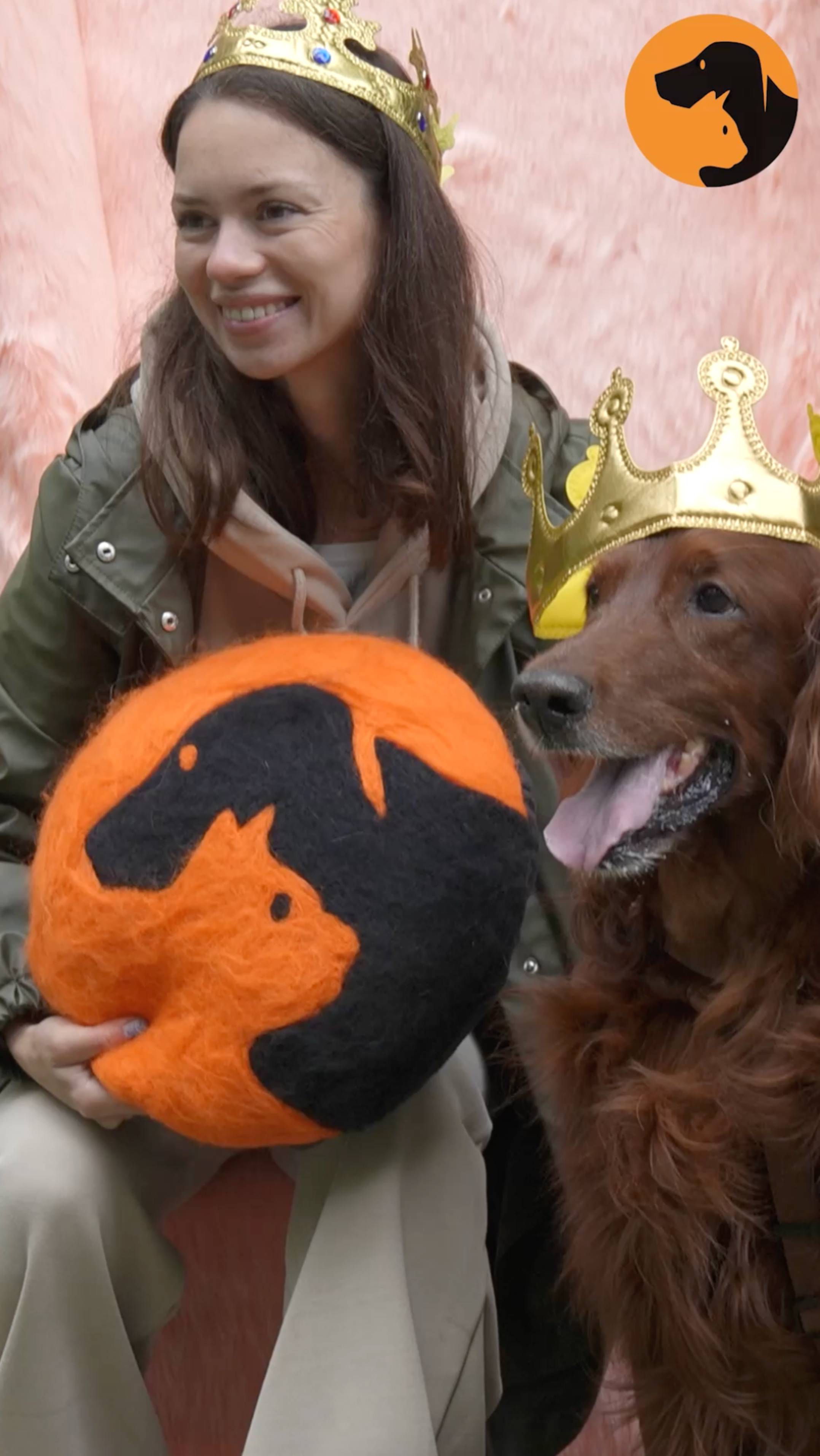 «Четыре Лапы Фест» — самый масштабный праздник для питомцев и их родителей