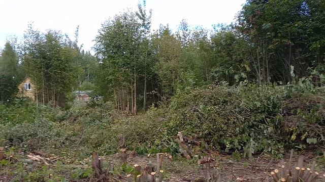 Освоение неразработанного участка, земли населенных пунктов, город Вологда (часть 4)