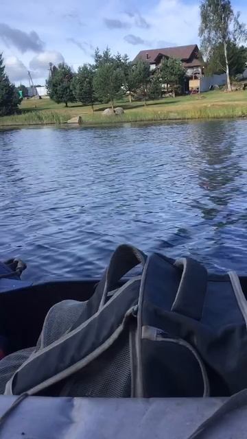 Ленобласть. Хвойное. 20.08.2025. Рыбалка на Вуоксе с котенком Персиком. Эпизод 9