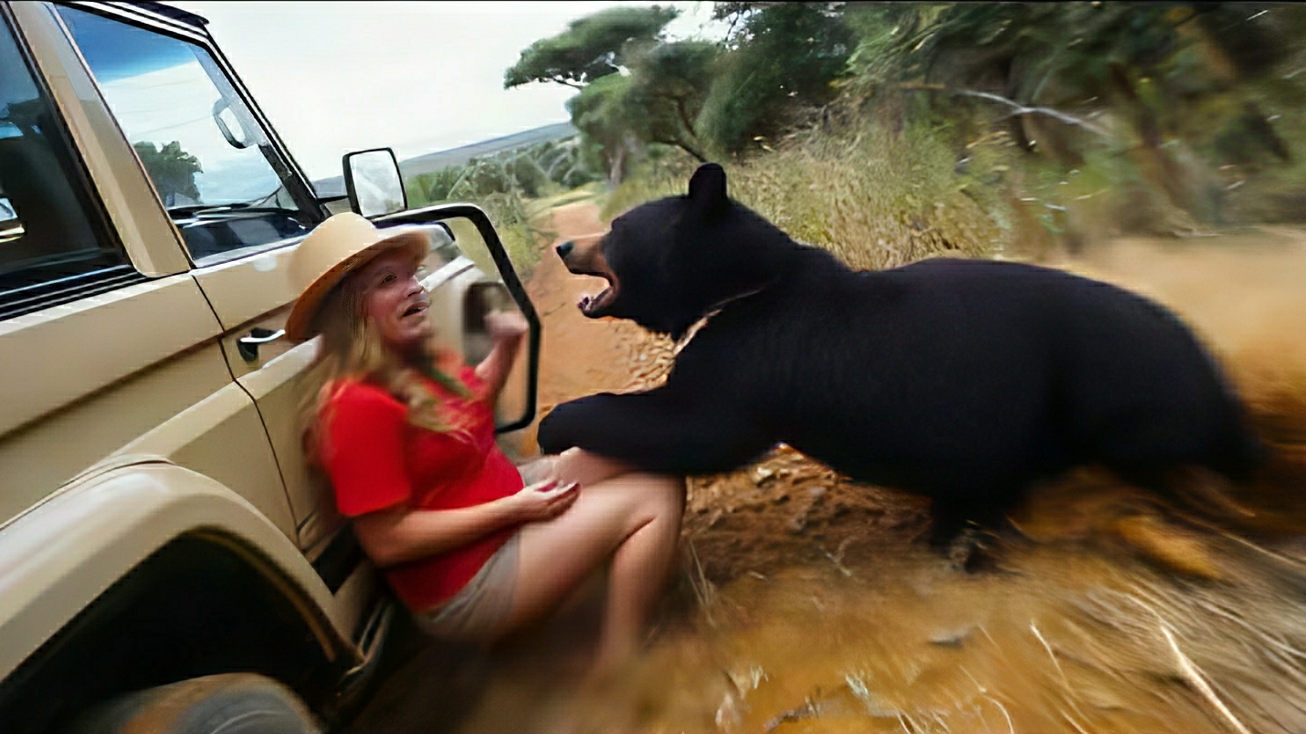 Впечатляющие ситуации с животными снятые на камеру