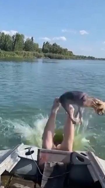 Крутое пике с лодки 🐕🤠🤣👍