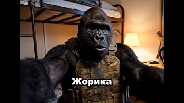 Горилла блогер.Часть 2