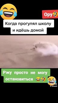 1000006507.mp4