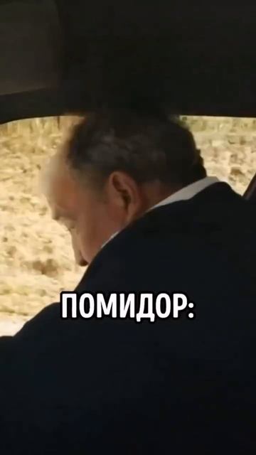 помидор #shorts