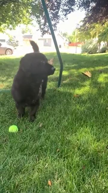 VID_20250823_150151_204.mp4