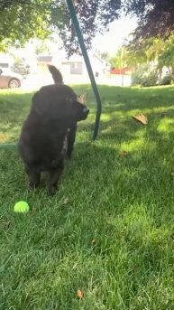 VID_20250823_150151_204.mp4