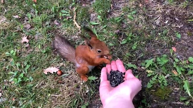 "Режиссеры снимают этюд"