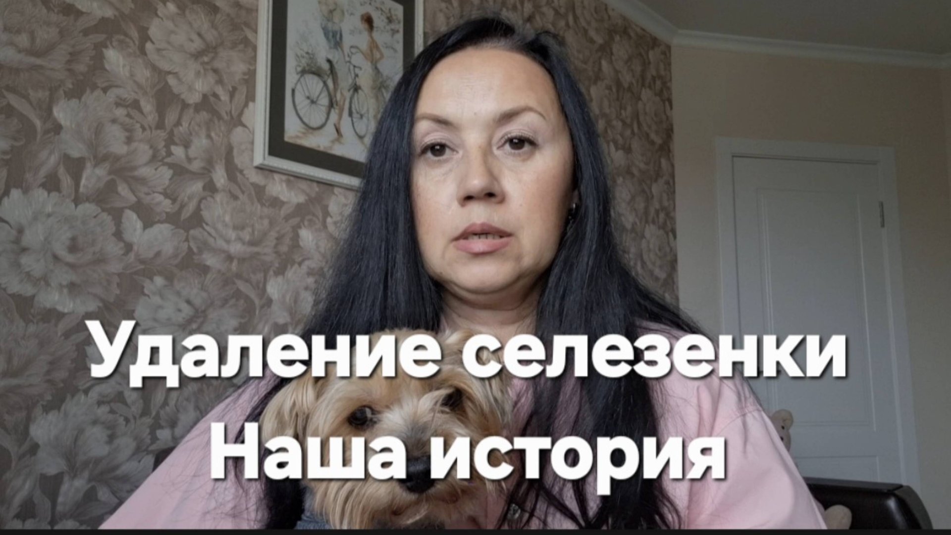 Удалили селезенку у возрастной собаки.