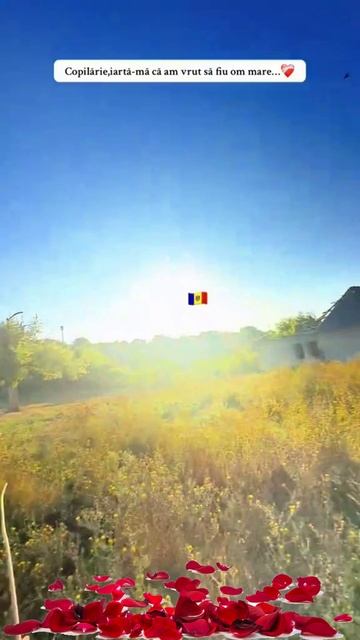 🔴 Cit de mult m-as intoarce inapoi in acea perioada... #nostalgie❤️🩹 #copilarie #dor #amintire