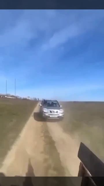 Нестандартная ситуация в Житомирской области.Продюсеры«Мосфильма»пытались догнать актеров на гужевой