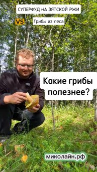 Грибы из леса или СУПЕРФУД на Вятской ржи?Можно ли заменить лесными грибами наши продукты?
