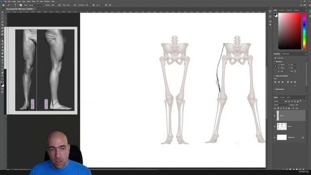 2. Main shapes of the leg