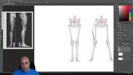 2. Main shapes of the leg