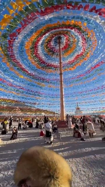 Тибет, Индия, Непал, Бутан и другие страны уже ждут тебя ✈️