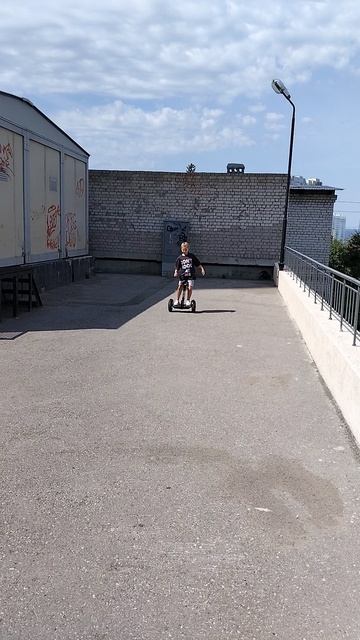 на сигвее змейка