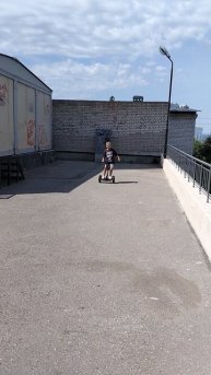 на сигвее змейка