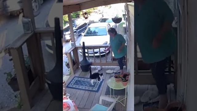 Юмор😂😂🤣🤣