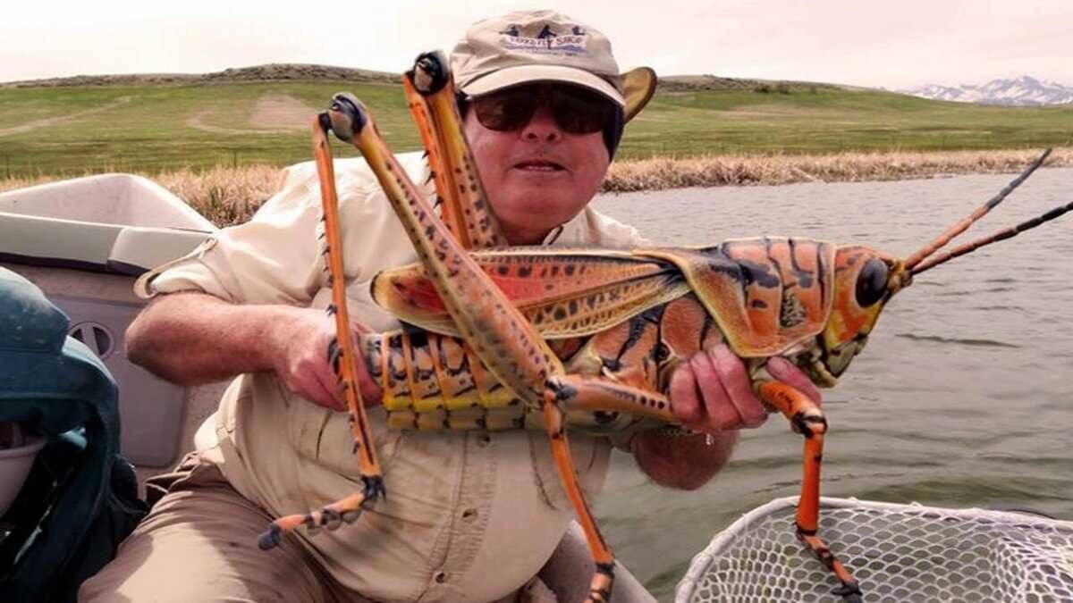 Это ж надо додуматься...!😆