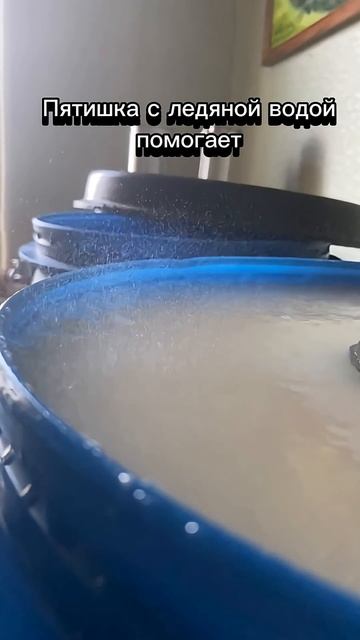 Дрожжи китайские