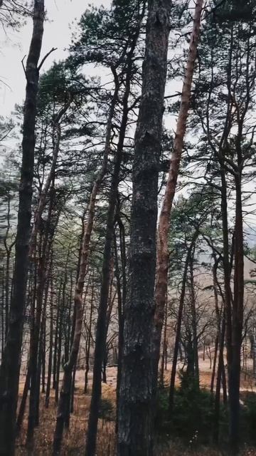 Выпить нарзан в нарзанной галерее #кисловодск #нарзан #кмв #кавказ