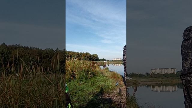 За неделю до конца лета 😢Калининский карьер 🎣