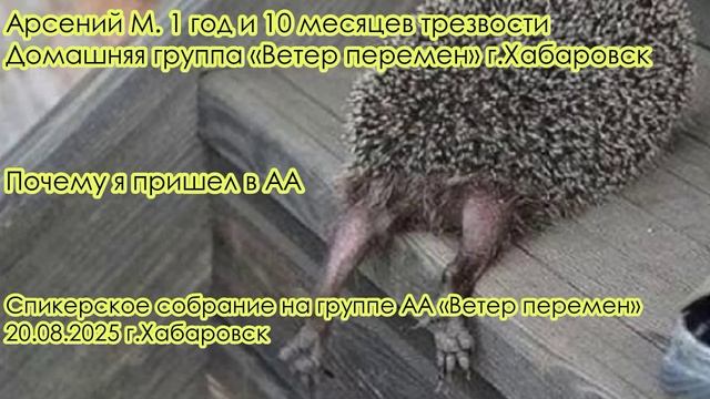Арсений М. 1 год и 10 месяцев трезвости. Домашняя группа «Ветер перемен» г.Хабаровск