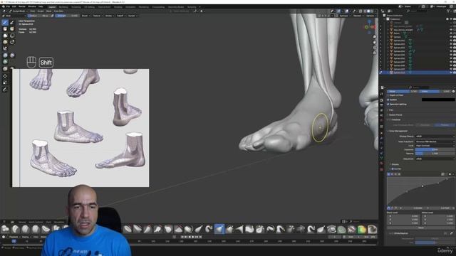 7. Muscles of the leg p03