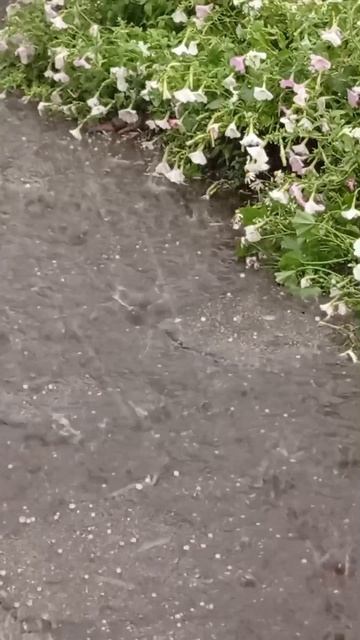 Сильный ливень и град
22.08.25
