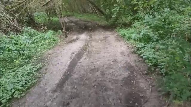 Прогулка в лесу ,возле Дона, мкр. Малышево. г.Воронеж, 21.08.2025 года