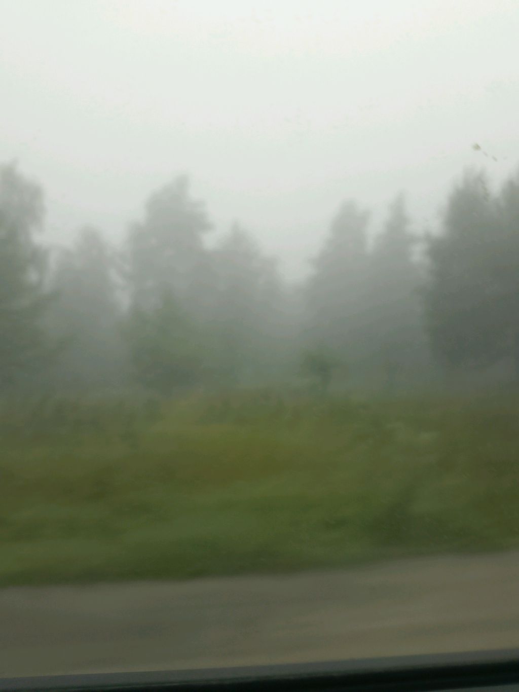 Болтаем с подписчиками