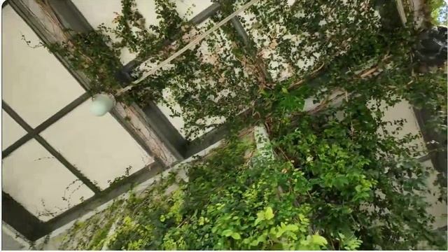Воронцовский дворец, видео Александра Михайленко